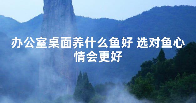 办公室桌面养什么鱼好 选对鱼心情会更好